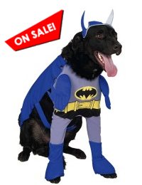 Brave & Bold Batman Dog Costume