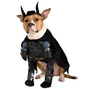 Dark Knight Dog Halloween Costume