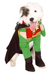 Halloween Robin Dog Costume
