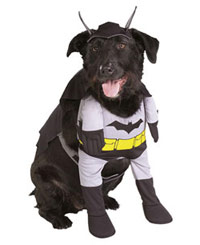 Deluxe Dog Grey Batman Costume