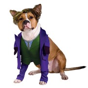 Batman Dark Knight The Joker Dog Costume