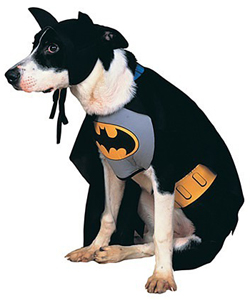 Deluxe Dog Grey Batman Costume