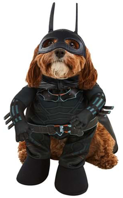 Dog Batman Costume The Dark Knight