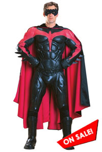 Movie Collectors Robin Adult Costume