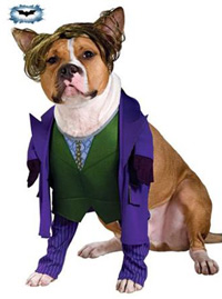 Batman Dark Knight The Joker Dog Costume