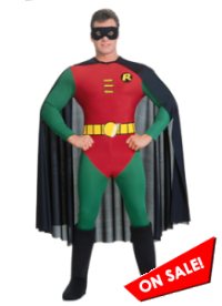 Adult Batman's Robin Halloween Costume