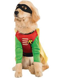 Halloween Robin Dog Costume